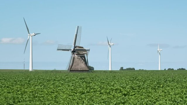 A row of white windturbines behind an old traditional dutch windmill in an agricultural field under a blue sky in summer. Old and new or contrast concept.	
