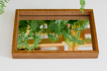 Plants reflected on mirror tray. Aesthetic minimalist composition.