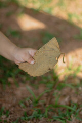 Cute baby girl hands. Aesthetic baby. Child development.
