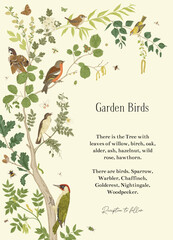 Garden Birds. Rustic. Invitation. Vector vintage illustration. © OlgaKorneeva