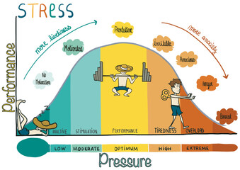 Stress curve