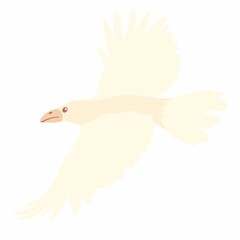 flying albino crow vector illustration