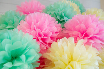 pink chrysanthemum flowers
