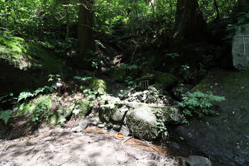 夏の筑波山の登山