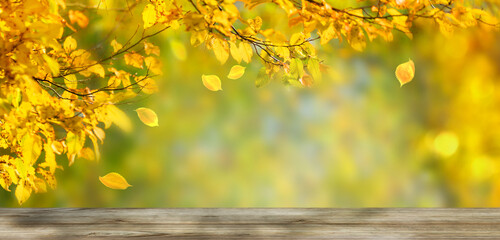 idyllic autumn background with empty wooden table