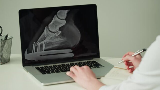 Doctor veterinarian examining horse leg skeleton roentgen on laptop monitor. Woman vet analyzing animal bones x-ray, joint close-up. Healthcare and medicine concept. 