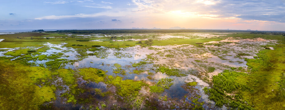 Paranomic scenery landscape view of the largest ecological wetland at Thale noi, Phatthalung, Thailand.
