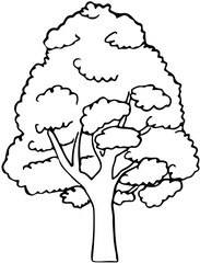 Polskie drzewa liściaste line art lipa drzewo