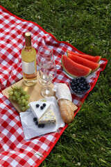 Picnic blanket with delicious food and wine outdoors on summer day