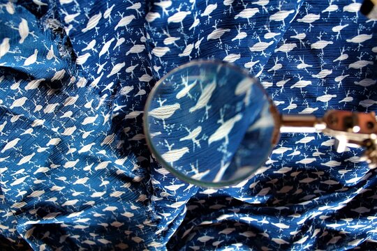 Mystery Birds on Fabric Clue Magnified