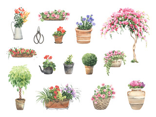 Set of flowers and plants in pots, garden plants, decorative design elements, hand drawn watercolor illustration isolated on white background for your design,  text or wallpapers. - 519415519
