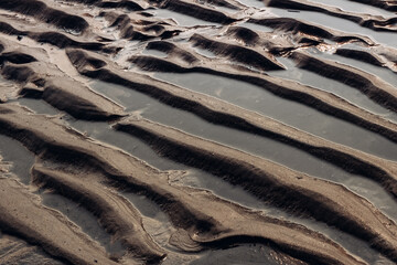 abstract sea background, wadden sea, mud flat
