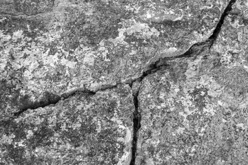 Big deep winding crack on old plastered wall. Remains of plaster. Numerous layers of paint. Black and white photo. Copy space. Close-up. Selective focus.