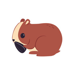 Hamster Background Very Cool