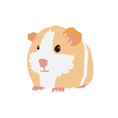 Hamster Background Very Cool