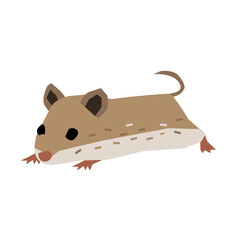 Hamster Background Very Cool