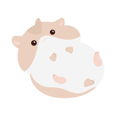 Hamster Background Very Cool