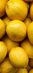 Fresh Yellow Lemons