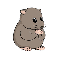 Hamster Background Very Cool