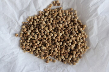 Pile of Coriander seeds isolated on white background