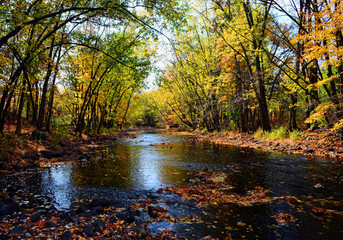 autumn landscape with river in the woods