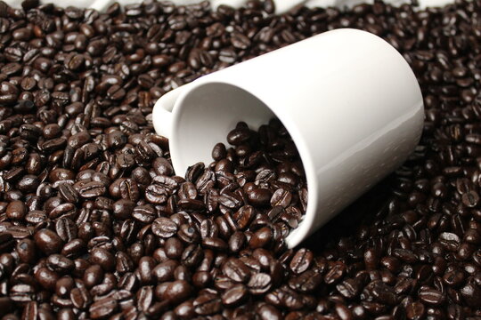 White cup with roasted coffee beans