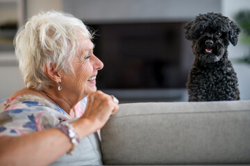 cute senior woman with poodle on the living room