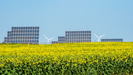 Placas fotovoltáicas en el campo