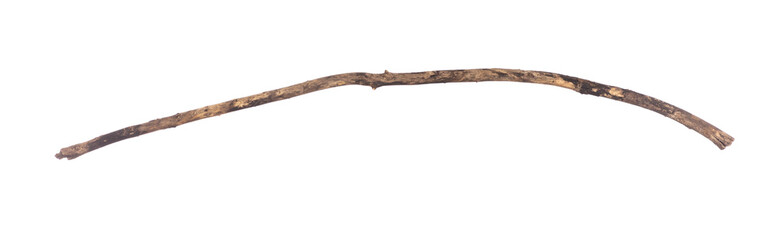 old rotten stick isolated on white background