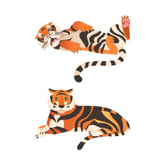 Fototapeta na wymiar Adult Big Tiger with Striped Orange Fur as Largest Living Cat Species Vector Set