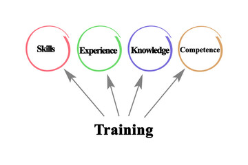 Four Benefits of Training