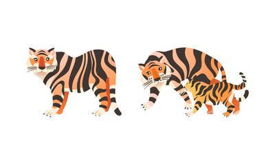 Adult Big Tiger with Striped Orange Fur as Largest Living Cat Species Vector Set