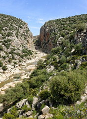 River in the mountains