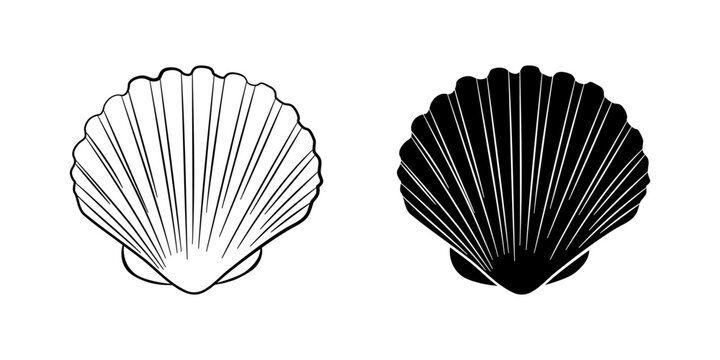 Sea shell, scallop vector illustration set. Seashell outline and silhouette icons. Clam doodle. Scallop closed shell drawing