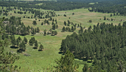 Black Hills of Western South Dakota