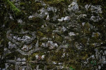 Mountain road with steep cliffs. Beautiful road landscape