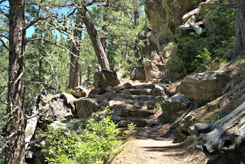 Black Hills of Western South Dakota