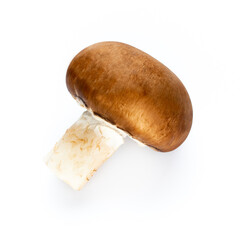 Fresh champignon mushrooms isolated on white.