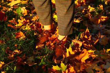 Defocus close-up female foot in capri pants and brogues shoes on dry autumn bright leaves...