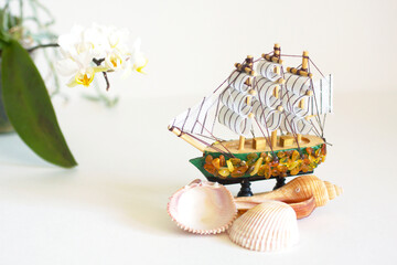 Model sailing ship with three shells and orchid flower. Vacation, summer, sea concept. On white background