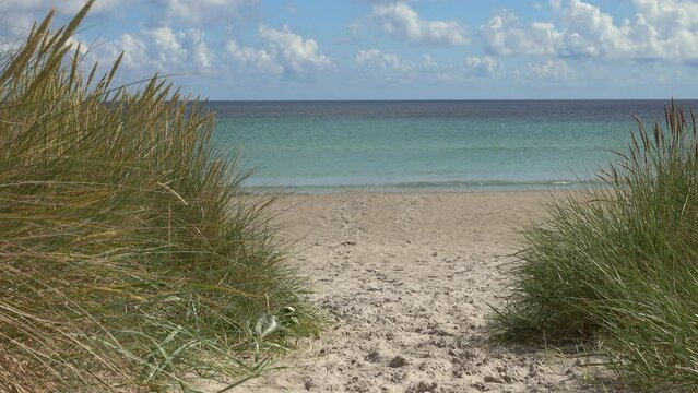Weg zum Ostseestrand