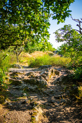 Popular wild park Divoka Sarka in Prague city in sunset time in summer, Czech republic