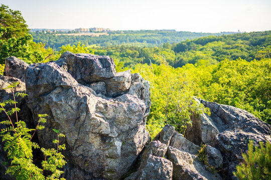Popular wild park Divoka Sarka in Prague city in sunset time in summer, Czech republic