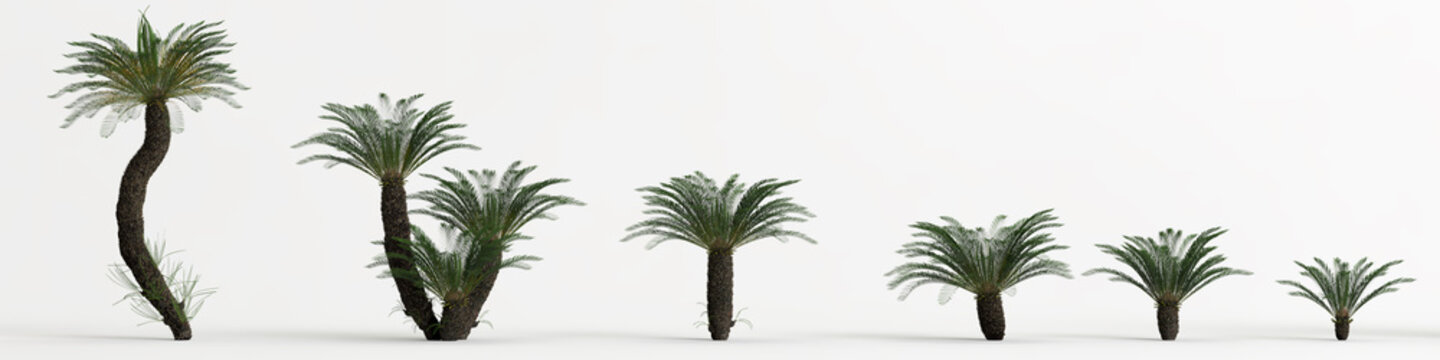 3d illustration of set plant isolated on white background