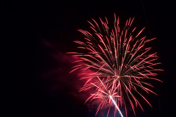 Fireworks Demonstration Illuminating the Night Sky