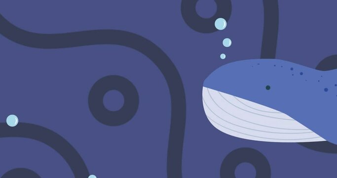 Animation of whale with bubbles and sea
