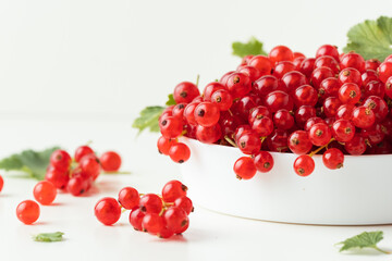 Red currant berries with green leaves isolated on the white background. Fresh summer berries