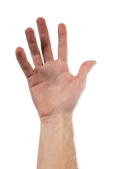 Beautiful and stylized open hand of caucasian person over 100% white background