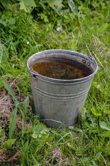 iron bucket of clean water on the grass