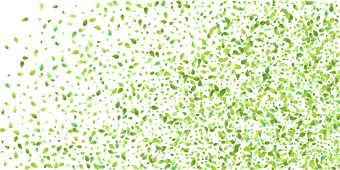 Leaves Green Falling Flying Foliage Leaf Tea Mint